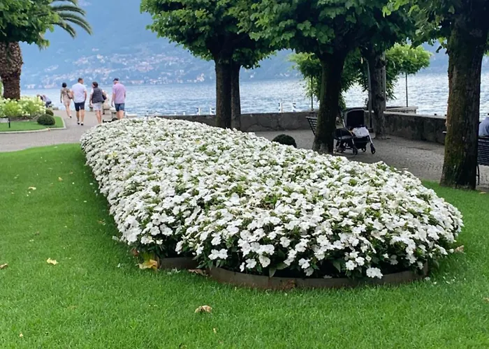 فندق مبيت وإفطار Scala